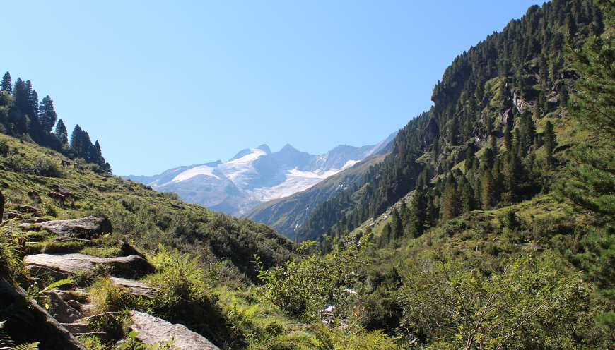 Trisslalm Panorama
