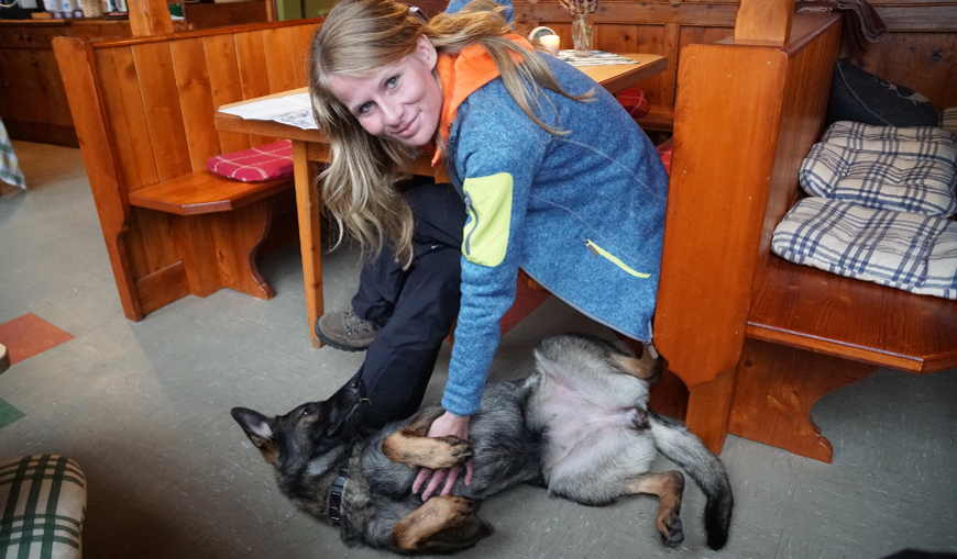 Hüttenhund Livi von der Grawandhütte