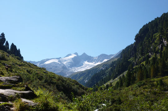 Wildgerlostal