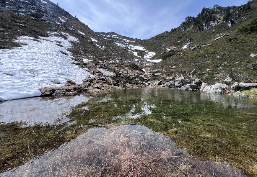 Schmelzwasser vom Schnee, das sich gesammelt hat, dahinter der Gipfel der Steinkarspitze