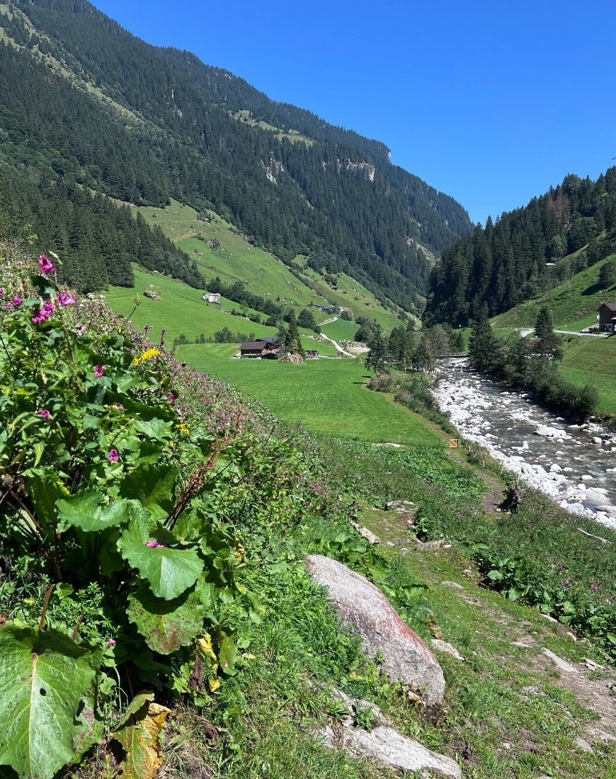 Wanderweg kurz hinter der Brücke des Schrahnbach-Wasserfalls in Richtung Jausenstation Gamsgrube