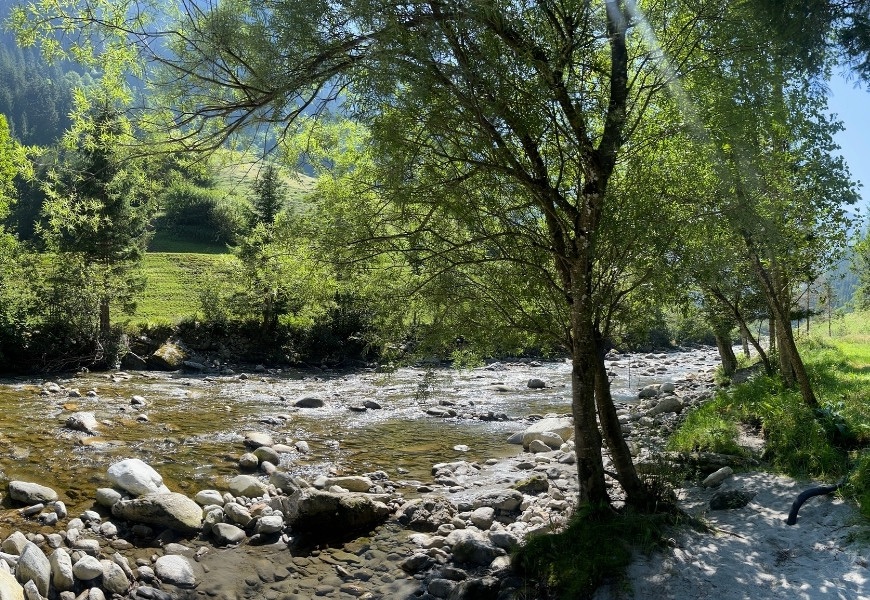 Zemmbachufer kurz vor der Jausenstation Gamsgrube